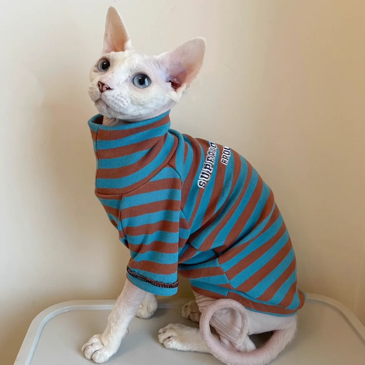 Sphynx Cat Clothes Striped Coat for Male Cat Soft Blue high-neck winter undershirt For Devon Rex Long Sleeves Loungewear Spring