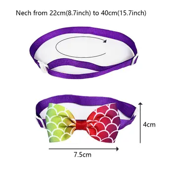 8 best sales 소형견용 목줄 - №7