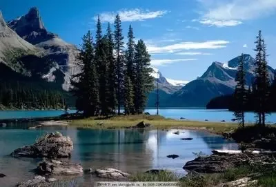 حافظة مفاتيح السيارة عن بعد من البولي يوريثان غطاء حماية شل حقيبة ل Trumpchi GAC 2021 Empow J11 J12 J13 J14 J15 J16 GS8-ملحقات التصميم