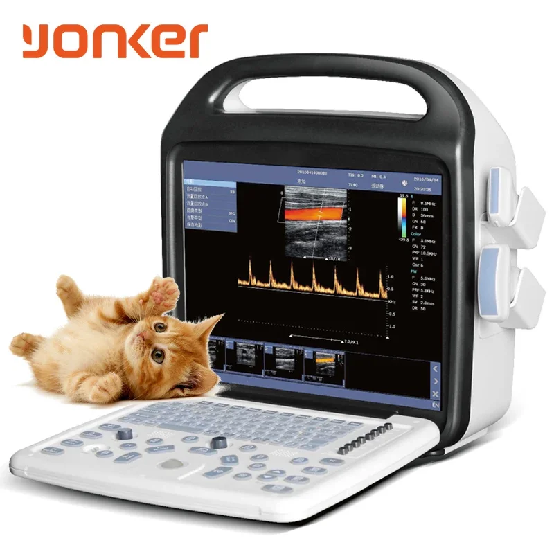 Yonker animal vital sign multiparameter portable laptop type veterinary sonogram ultrasound scanner machine for pet cat dog