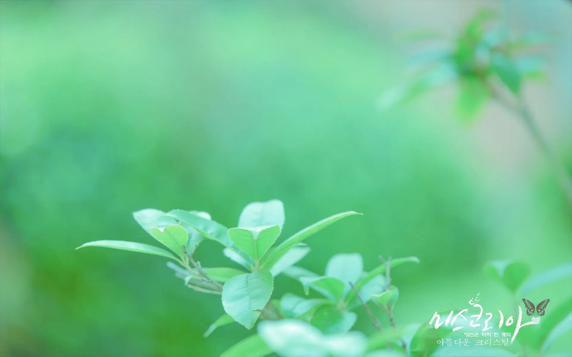 

Для Hailong 36 В 20 Ач литий-ионный аккумулятор подходит для аккумулятора электрического велосипеда Встроенный BMS Безопасный и долговечный