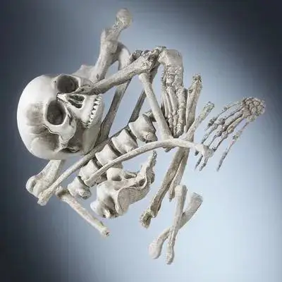 

1Pack Halloween Bones Plastic Skull Decoration Festival Haunted House Party Props Halloween Bones