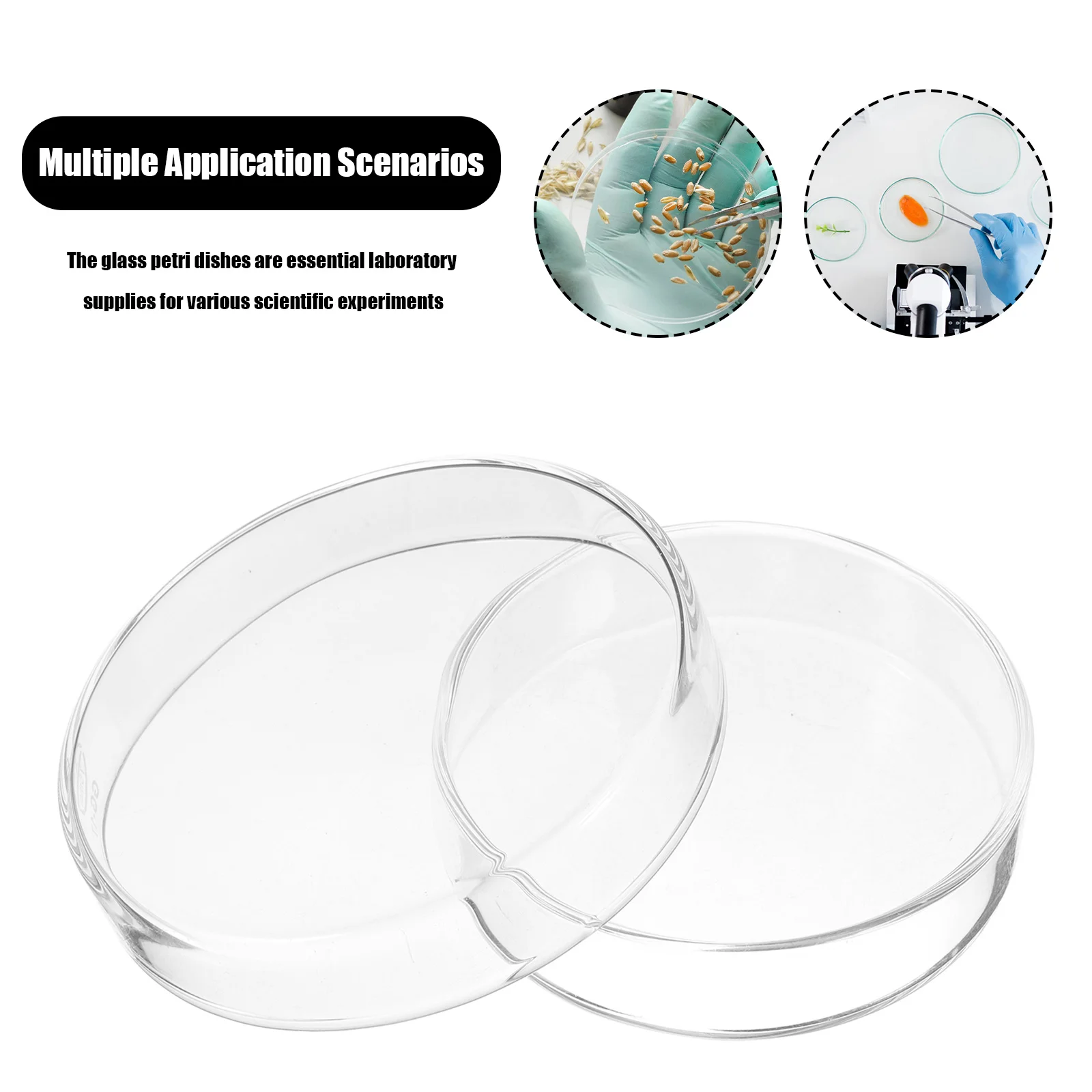 

1Set Glass Lab Petri Dish Culture Dishes with Lids for Science Chemistry Agar Plates Tissue Culture Secure Fit Sterile