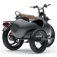 COSWHEEL CT20 Electric Cargo Bike With Sidecar Vintage Side Car Fat Tyre E Bike Electric Tricycle 48V 1500W for Beach Sand Play