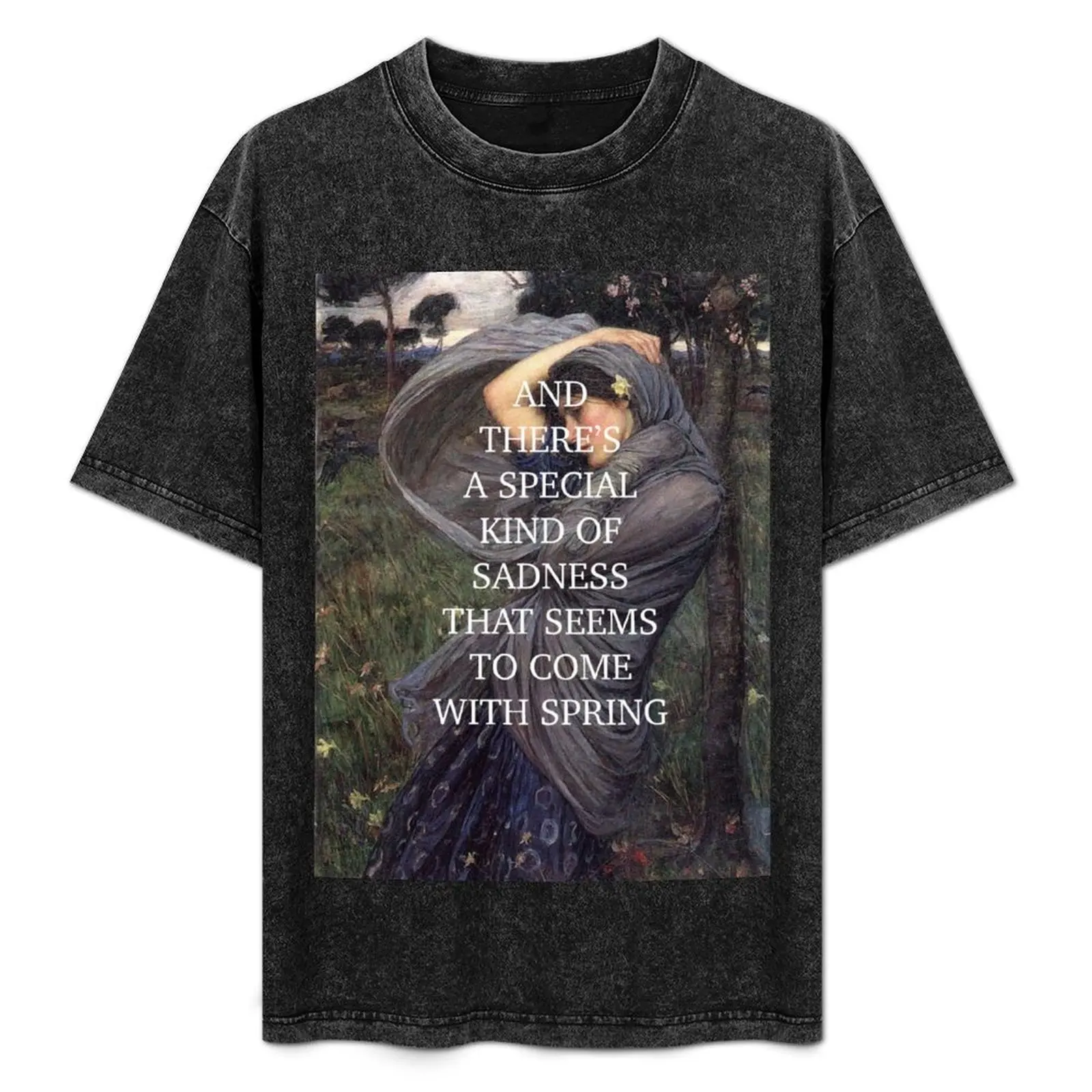 boreas by john william waterhouse T-Shirt heavyweights cheap stuff animal prinfor boys designer shirts mens plain t shirts