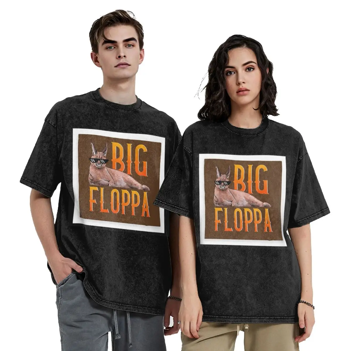 Big Floppa Animal Cat Washed T Shirts Printed Short Sleeve Hip Hop T-Shirt Streetwear Tops Tees for Men Women