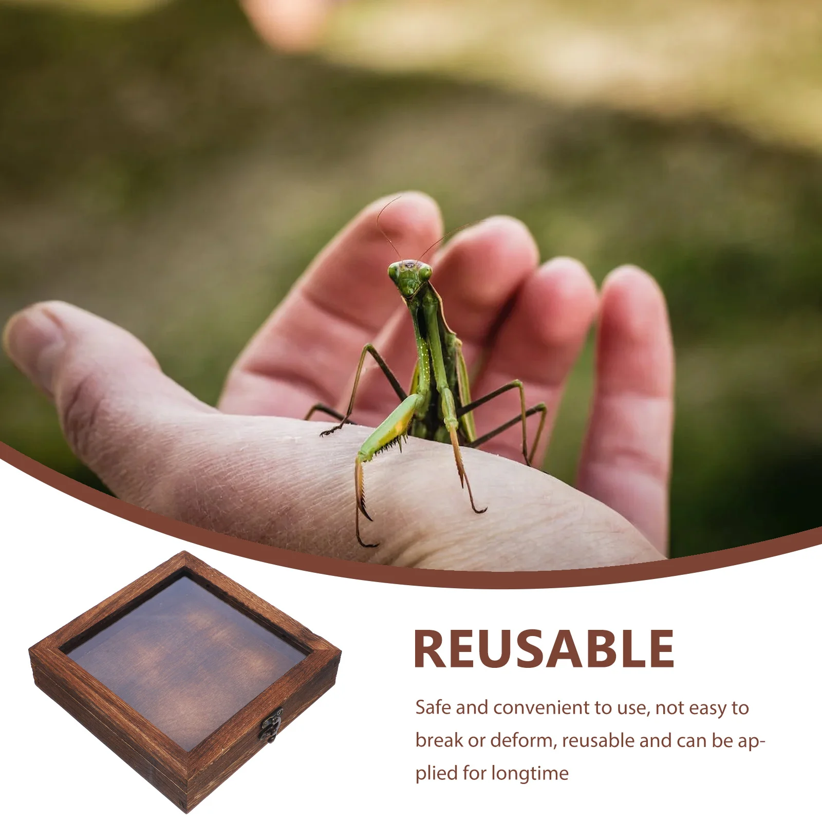 

Витрина для образцов насекомых, деревянная прозрачная крышка в стиле ретро, портативная коробка большой емкости для бабочек, растений, сухоцветов