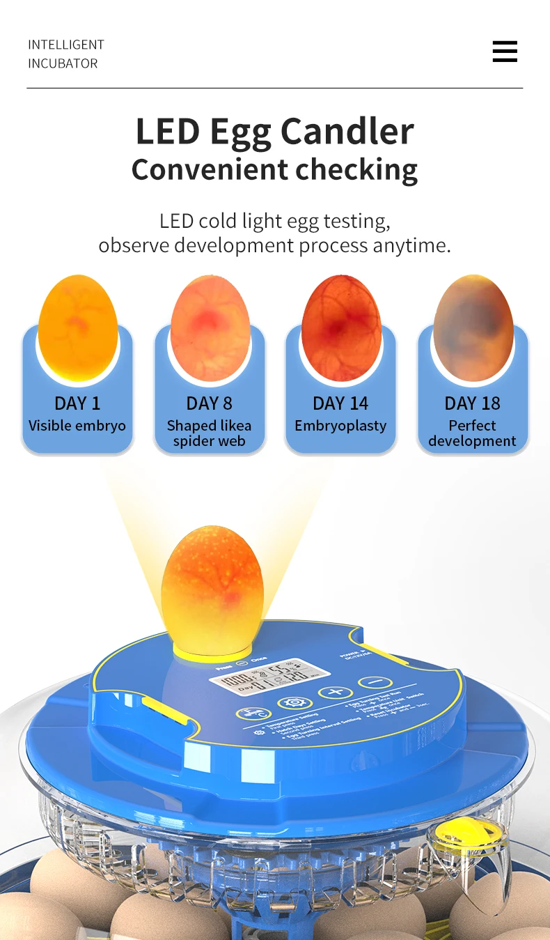 Multi-functional 18 Eggs Incubator Battery Operated Motor Machine Duck Farm