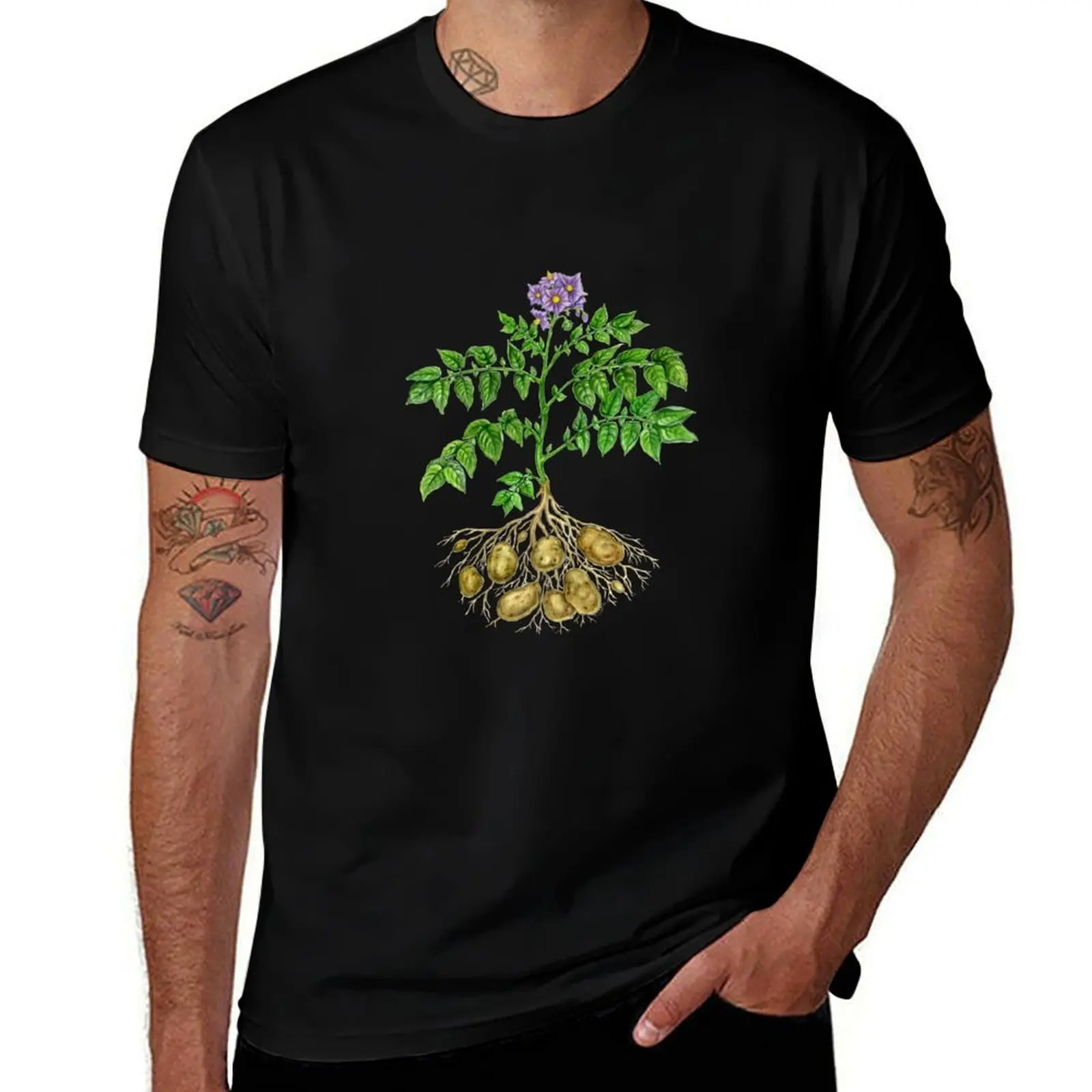 

tuberosum) shirts t brand shirt T-Shirt quality Potato man luxury T-Shirt cotton high pack t (Solanum