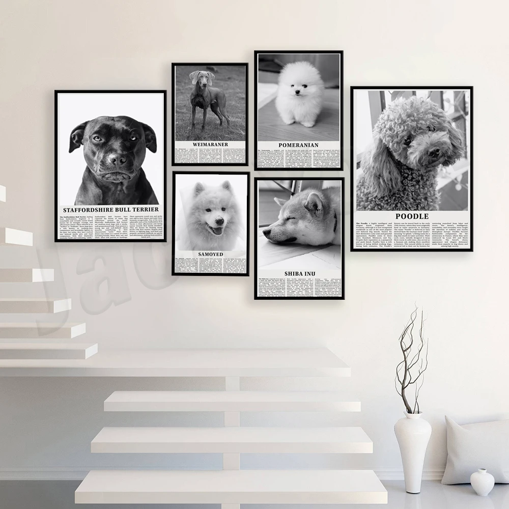 

Tibetan Mastiff, Poodle, Pomeranian, Samoyed, Welsh Corgi, Shiba Inu, Weimaraner, Norfolk Terrier black and white art poster,