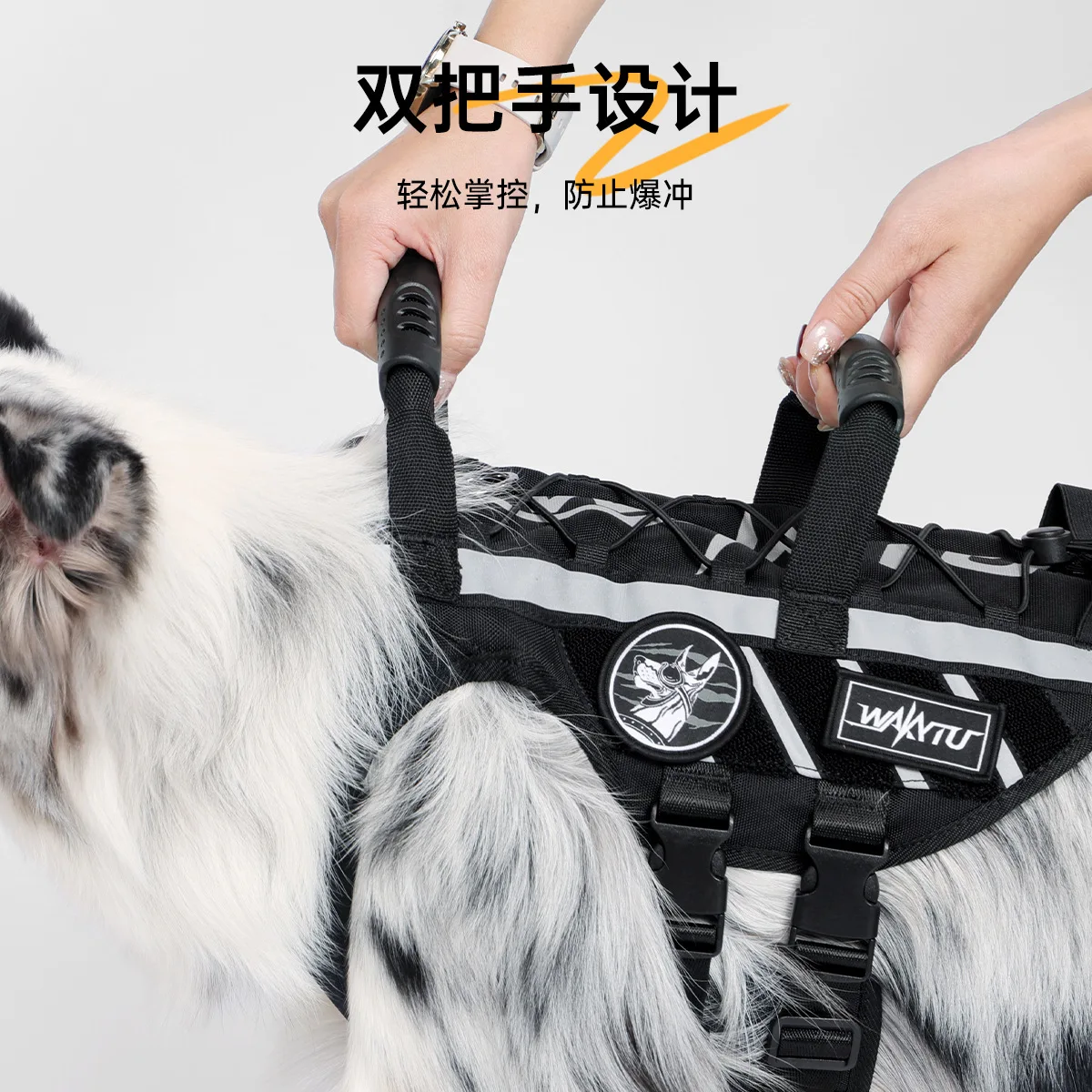 

Tactical Dog Chest Strap Vest Medium to Large Pet Walking Rope Outdoor Traction Harness for Dogs