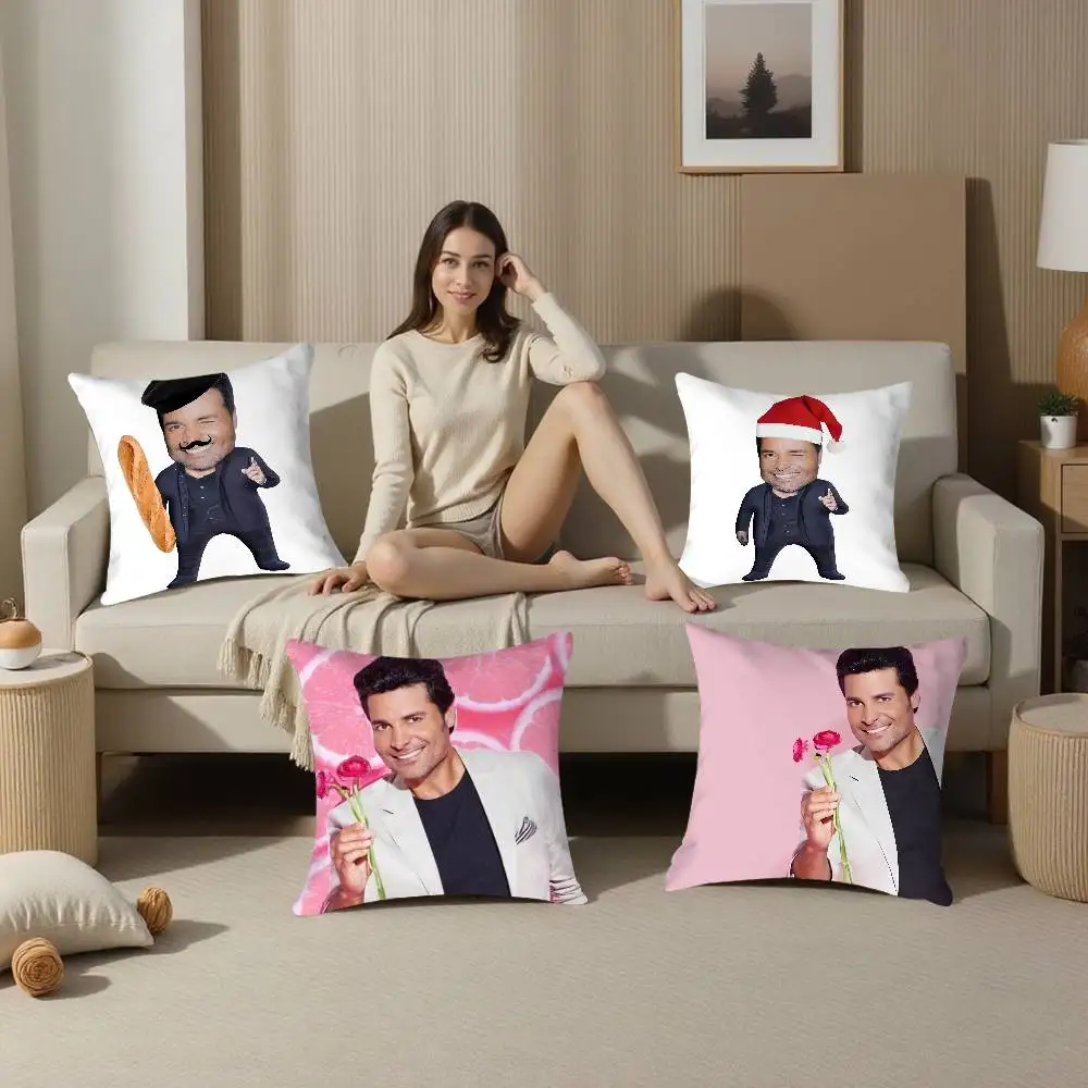 C-Chayanne Chiquito M-Meme Pillow Case Plush Fabric Soft  Pillowcase Double Sided Print Cushion Cover Household Gifts