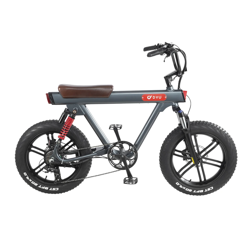 2023 20'' Wheel Aluminum Alloy frame full suspension display retro ebike electric dirtbike fat tire electric motorcycle adult