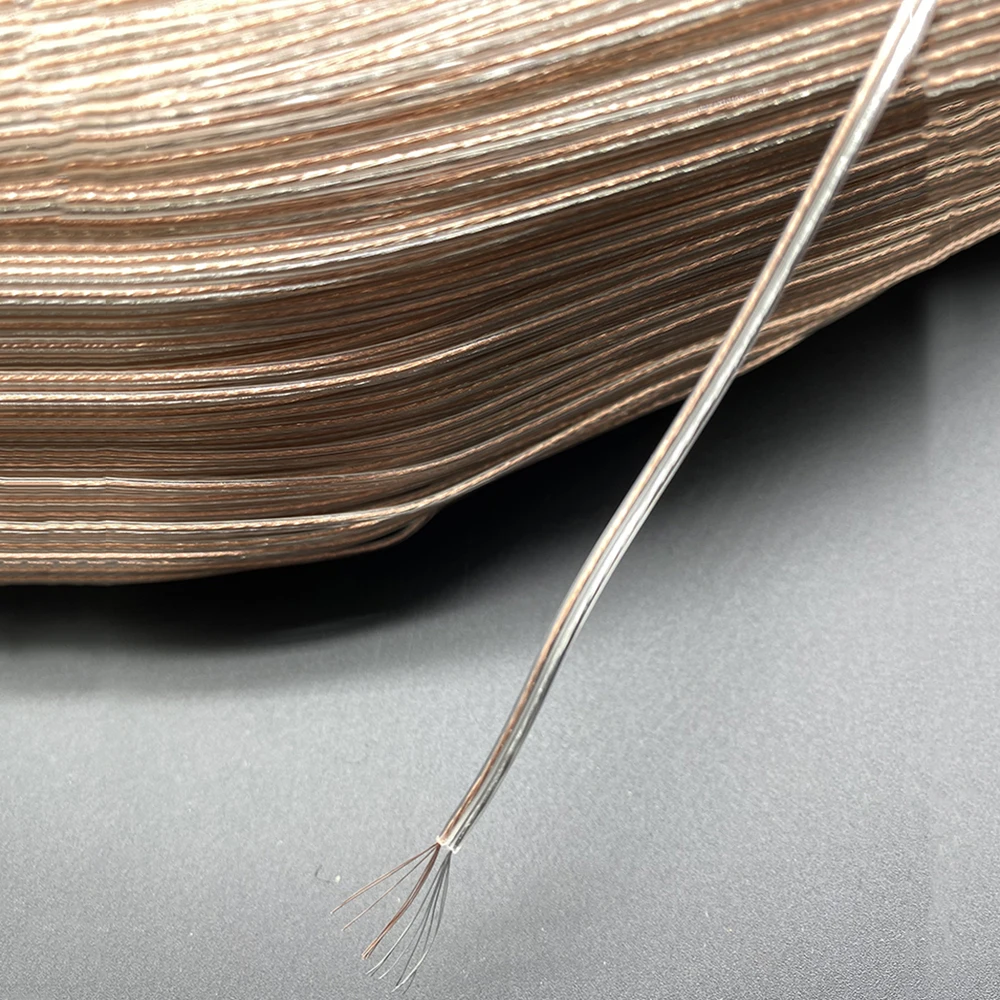 Imagem -06 - Transparente Paralelo Plano Elétrica Led Lâmpada Titular Fio Prata Chandelier Cabo 2-core 30awg Macio