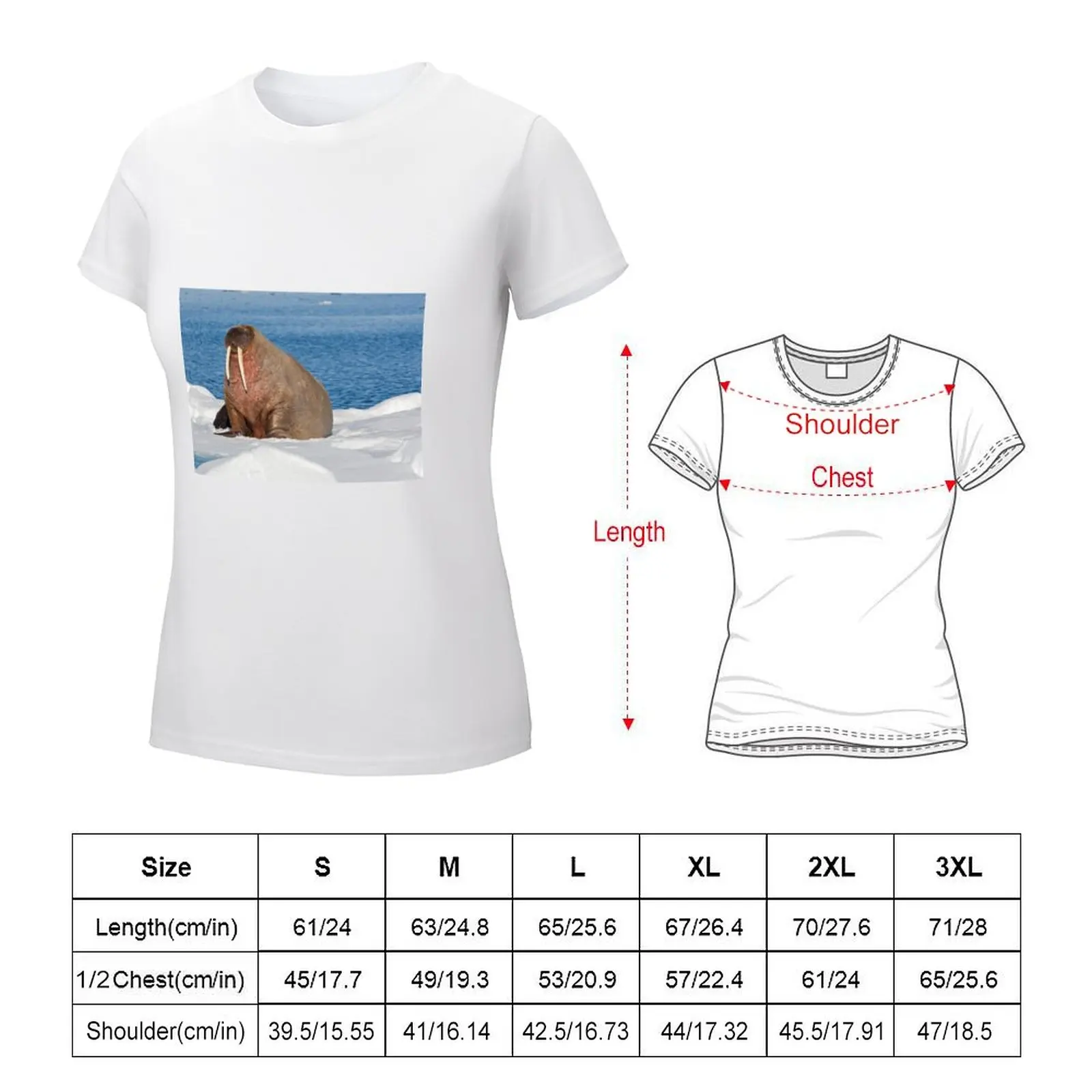 Walrus on pack ice T-shirt Female clothing tees cute t-shirts for Women