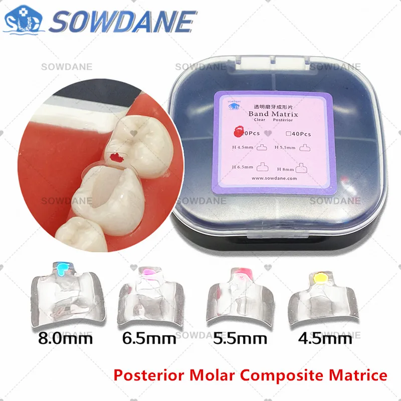 Dental Clear Matrix Bands Transparent Matrice Posterior Molar Composite Class Restorative Matrices 4.5/5.5/6.5/8.0 Fits Bioclear