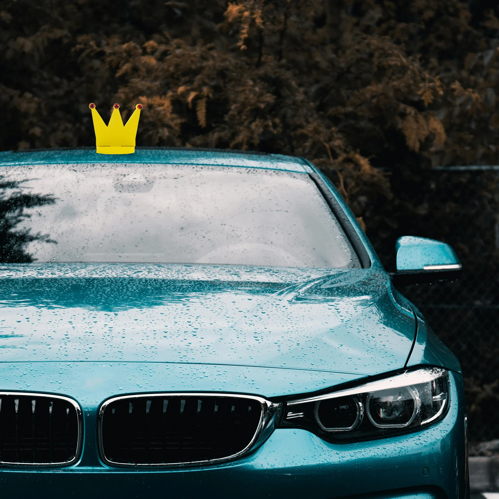 

Cute Car Roof Ornament Decoration Easy Installation Automotive Roof Decor for Women Aesthetic Accessories