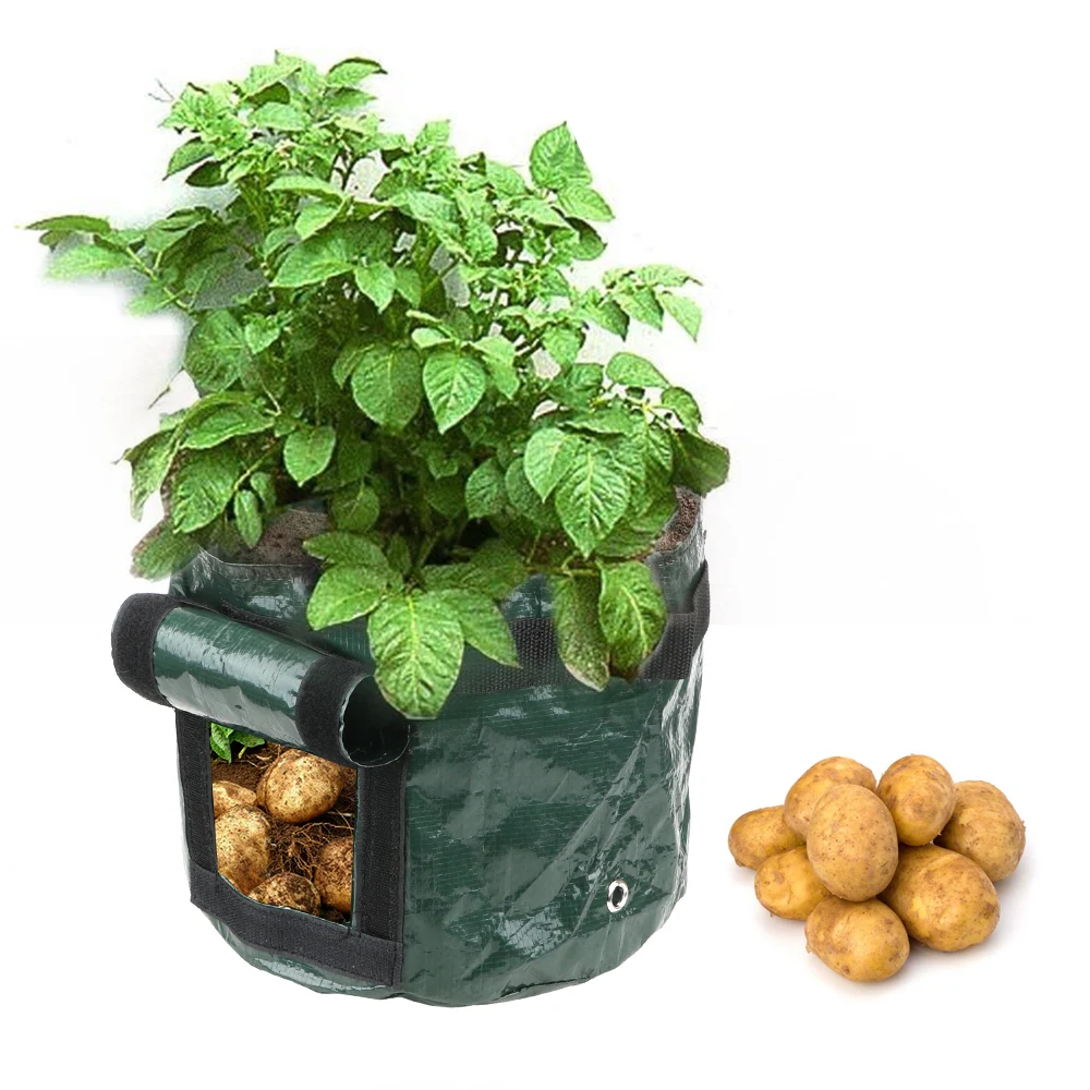 Vegetable Plant Grow Bag PE Cloth Thicken Garden Pot Planting Container Bag