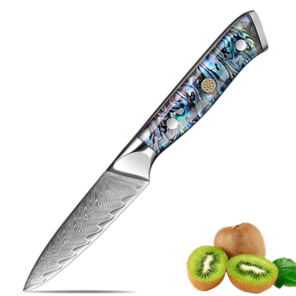 Professionelles Küchenmesser 3,5 Zoll Schälmesser aus Damaszener Stahl Scharfes Haushaltsmesser zum Schälen von Obst mit Abalone-Muschel-Acrylgriff