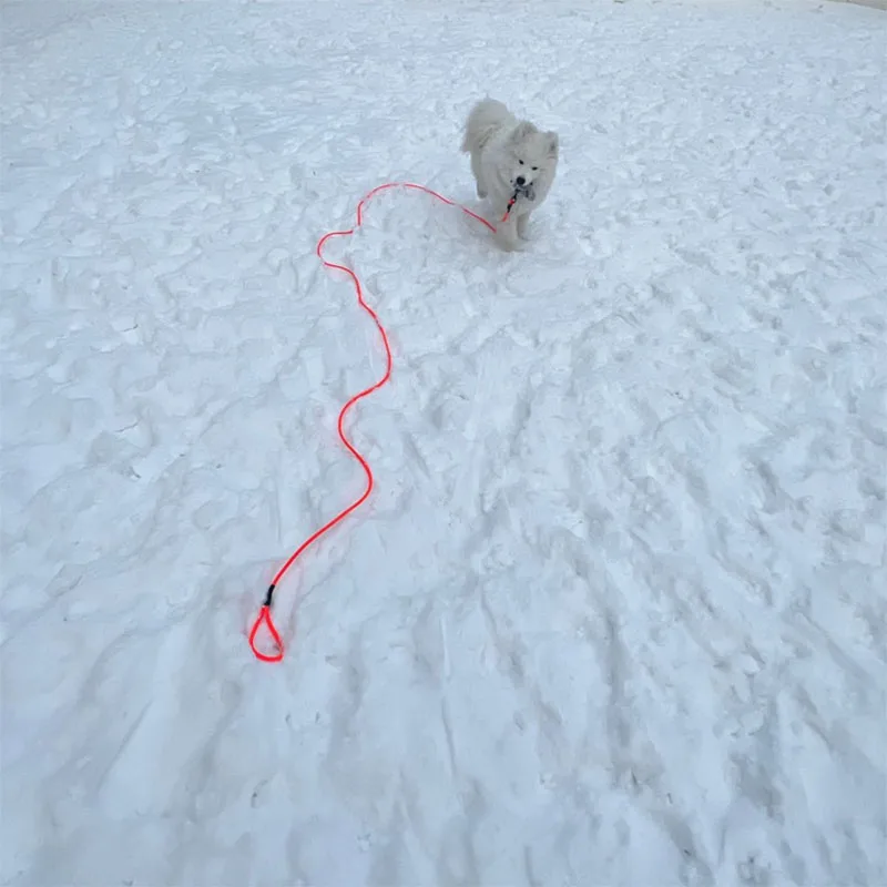 Imagem -03 - Trela Impermeável do Pvc para o Cão de Estimação a Trela do Filhote de Cachorro Pequeno e Grande Treinamento do Recall Seguindo a Obediência Chumbo Longo Corda Fácil de Limpar 5m 10m