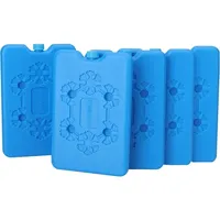 Ice Pack Reusable Lightweight Fresh Food Storage Refrigeration Cooler Bag Portable Water Injection Box for Lunch Box and Cooler