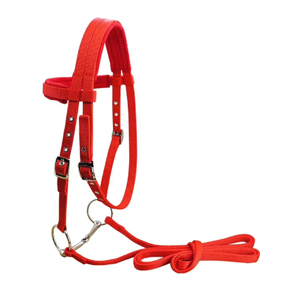 Durable Nylon Webbing Horse Bridle Rein Adjustable Headstall Equestrian Training Rope for Horses