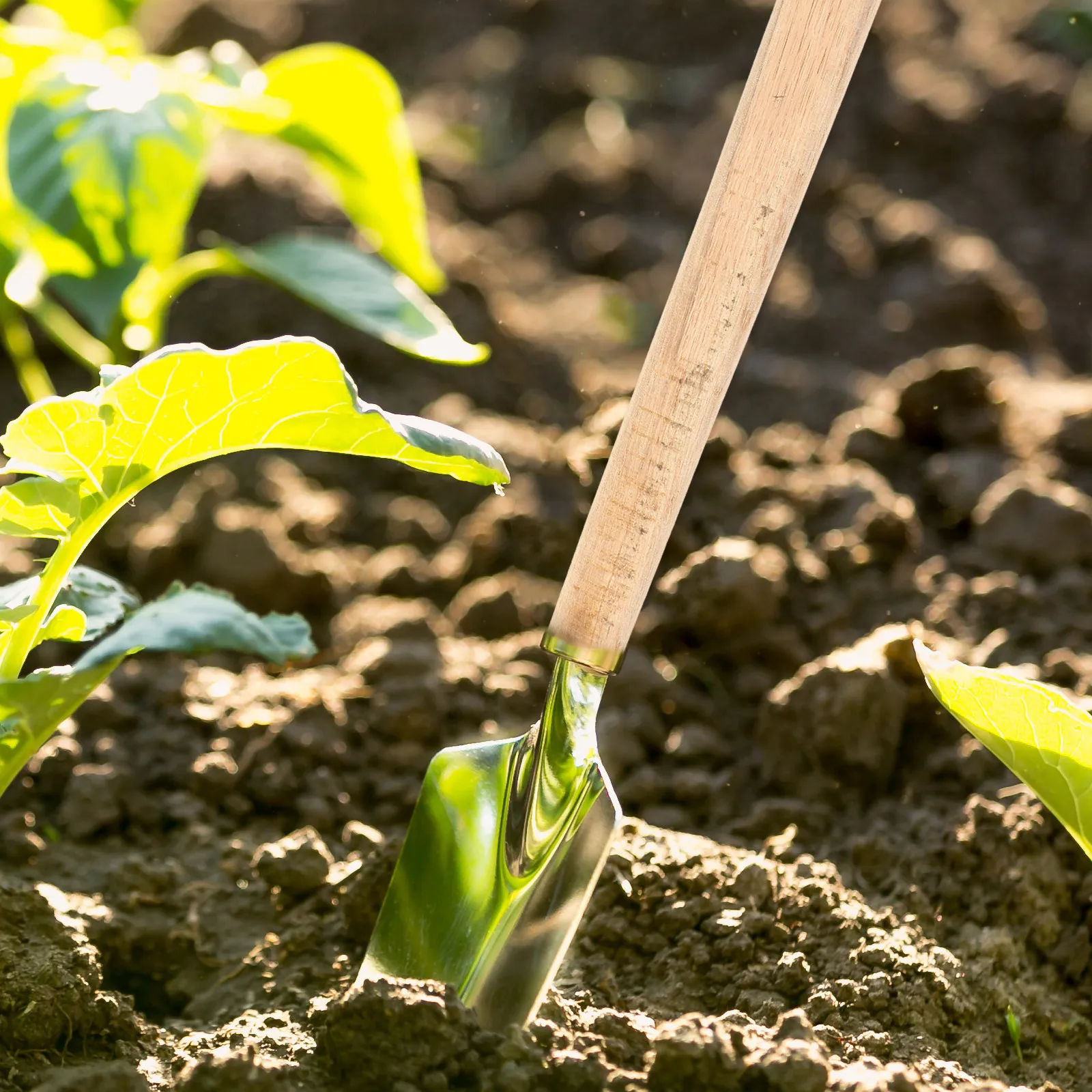 Replacement Wooden …