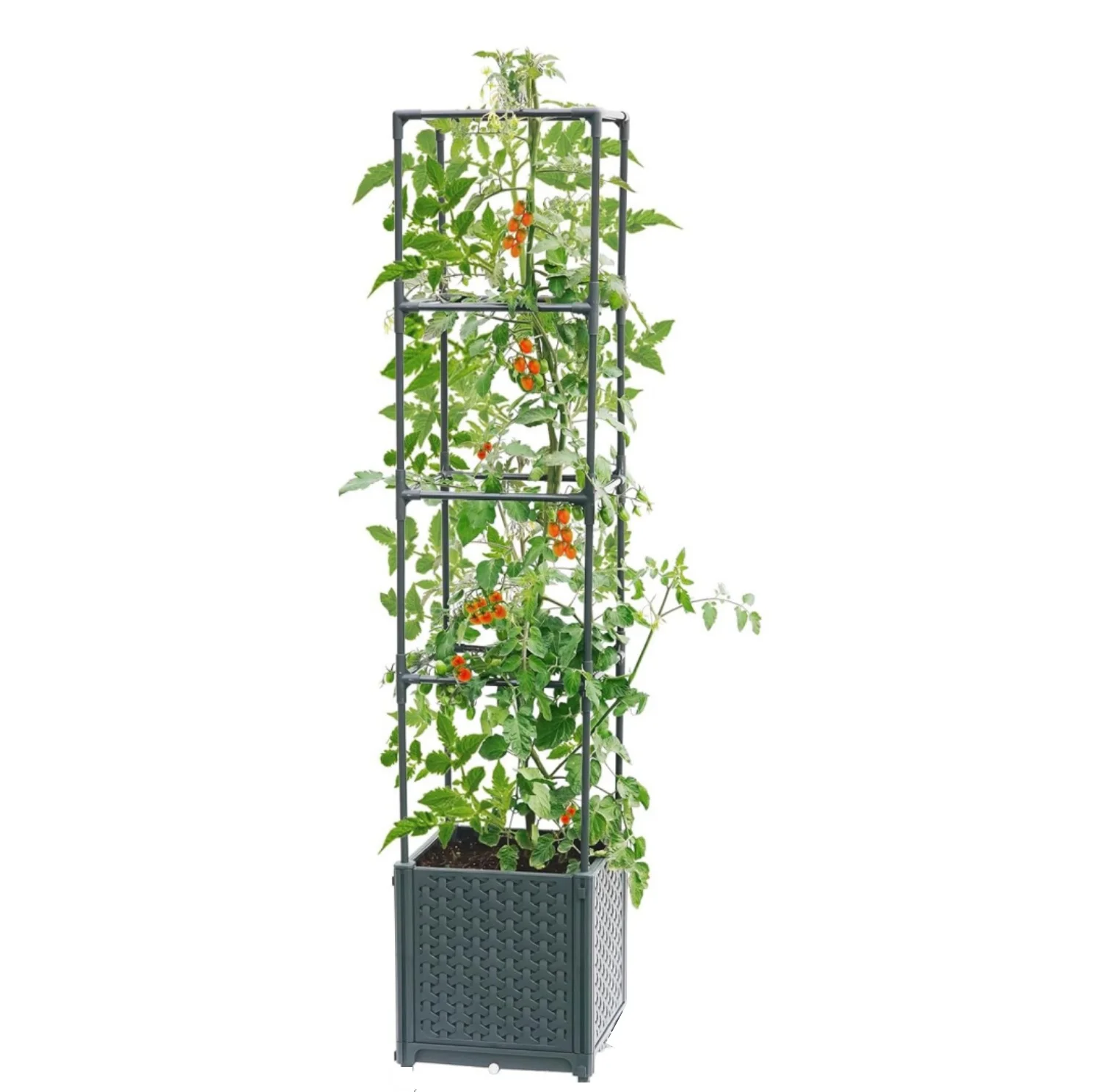 

Raised Garden Bed Planter Box with Trellis,Self-Watering Tomato Cage Planters for Garden Climbing Plants Vegetable Vine Flower