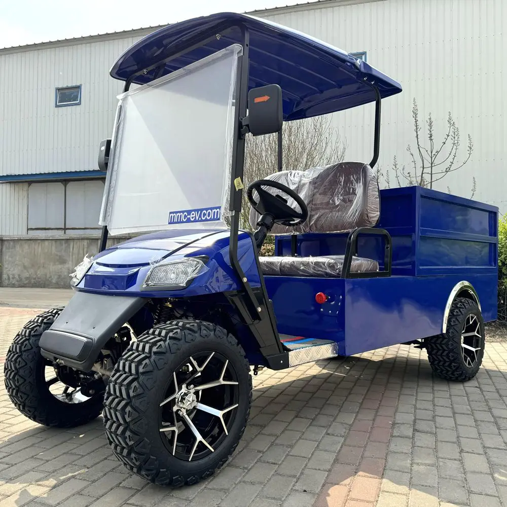 Custom Seating New Energy 2 Seater 30km/h 30% Climbing Capacity Electric Golf Cart Street Legal Adult Golf Cart