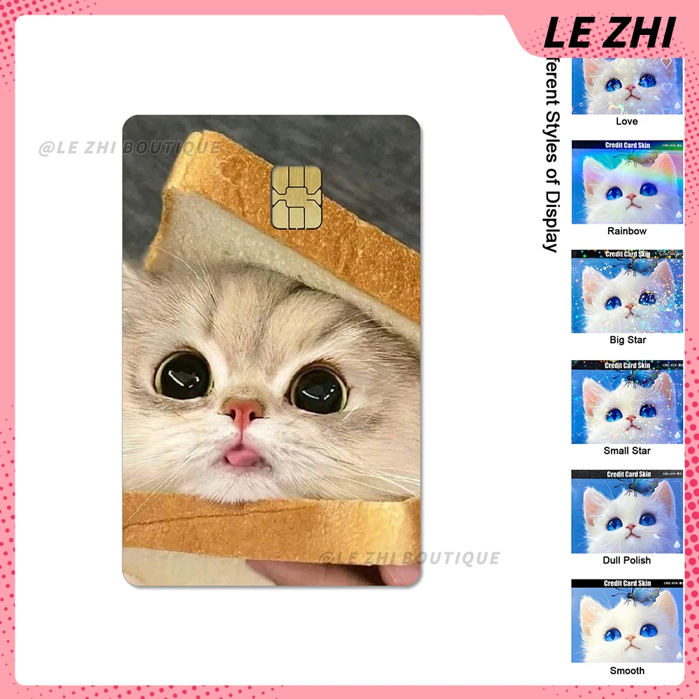 Рисунок 6 - милая кошка, собака