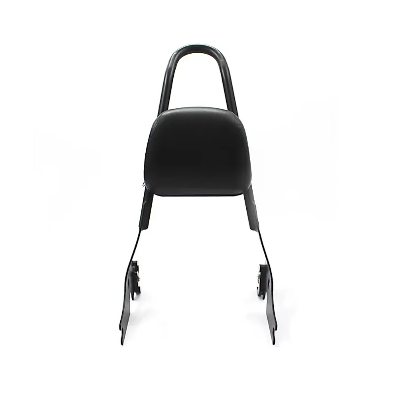 Racing custom motorcycle backrest pad motorcycle