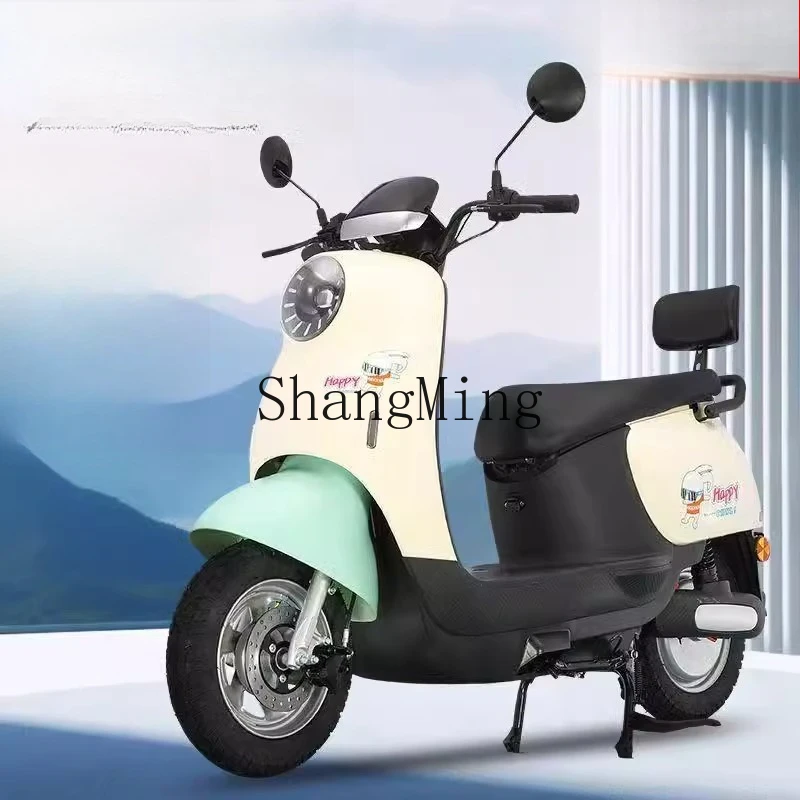 ZYH's new electric car is upgraded to 48v60v72v small electric motorcycle battery car for outdoor travel - Image 2