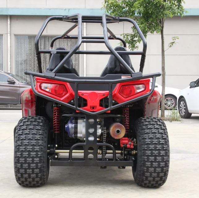 Custom 150cc Automatic 4X2 Mini UTV 1000W Power 4-Stroke Fuel 60v-Sale for ATVs