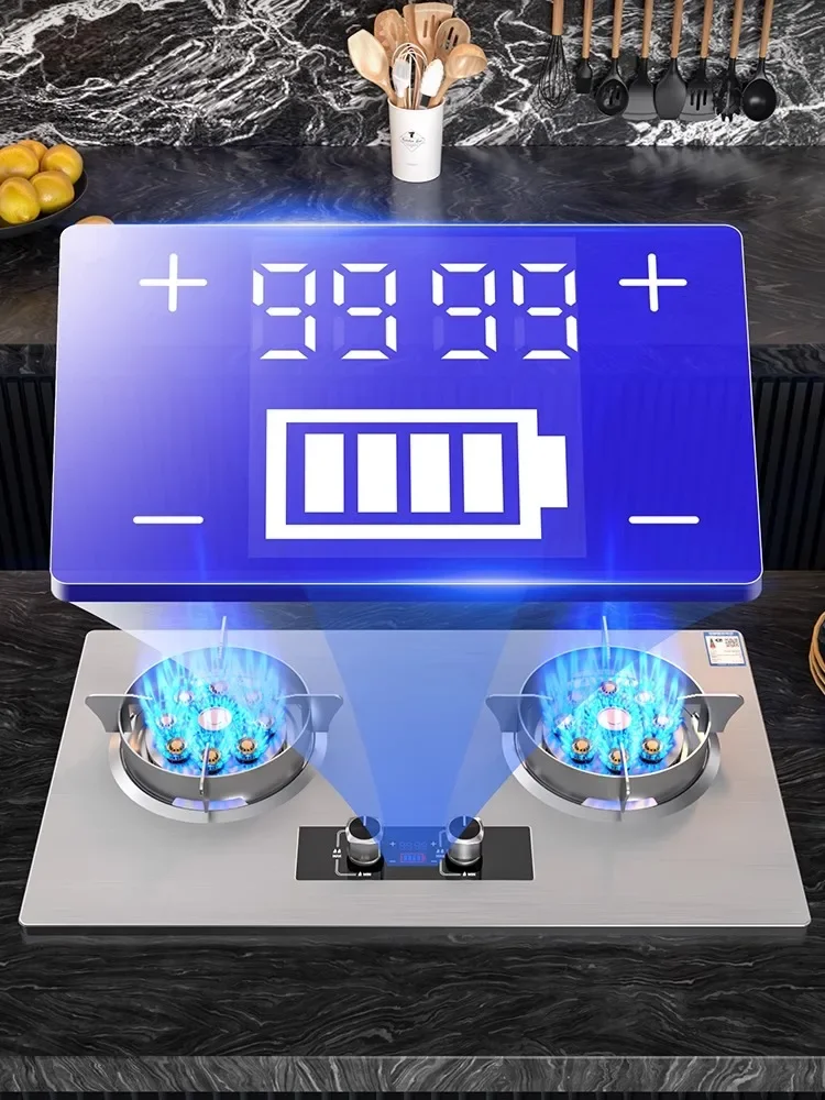 Royalstar Gas Stove Double Burner Built-in Desktop Natural Gas LPG High Power Cooker