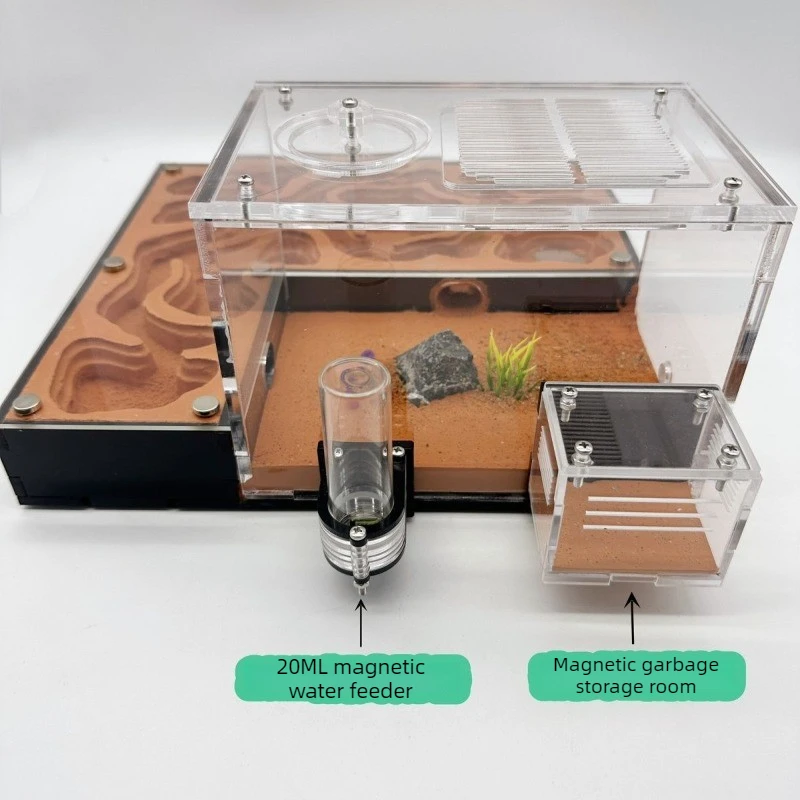 Creative Ant Farm Concrete Children's Ant Nest with Drinking Bowl Moisturizing Ants Ecological Box Ants Breeding Observation Box