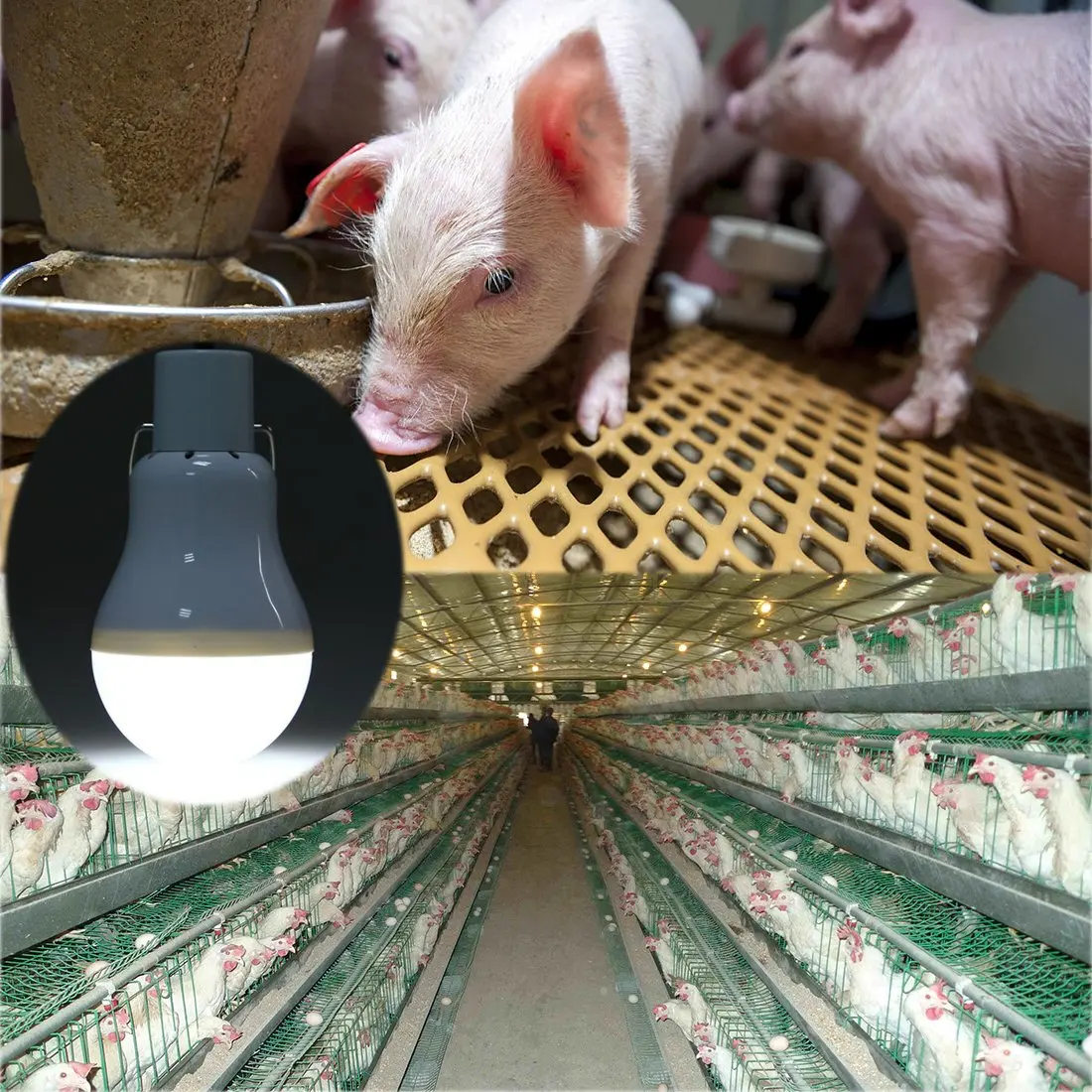 Solar Powered Lights Solar Energy Panel Lighting Portable Led Bulb Light  for Camp Tent Night Fishing Emergency Lights Flash