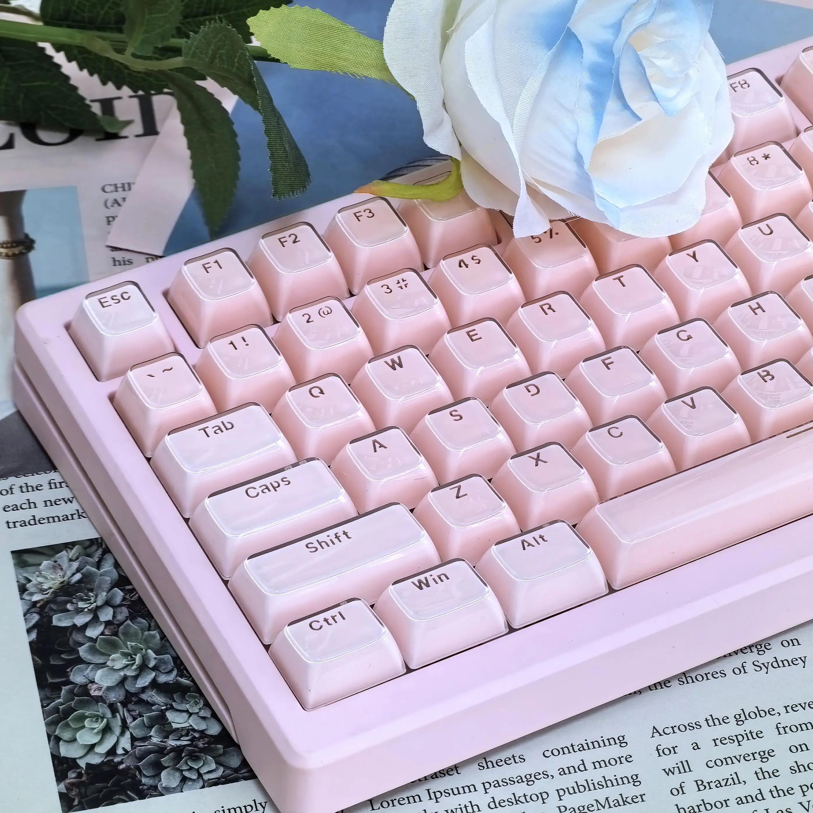 Jelly Keycaps ICE Crystal Translucent Characters Pc+Pbt Material OEM Diy Customized Keycap Set White Blue Pink Keycap 136 Keys