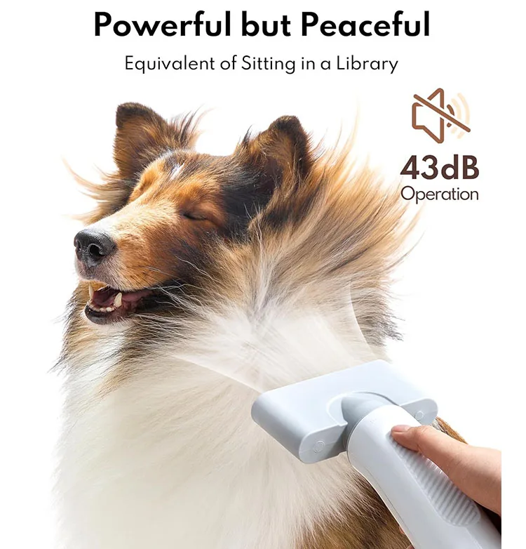 Cat and dog pet bath special high-plower 2800W hair pet strong silent dryer brush for pet groomer