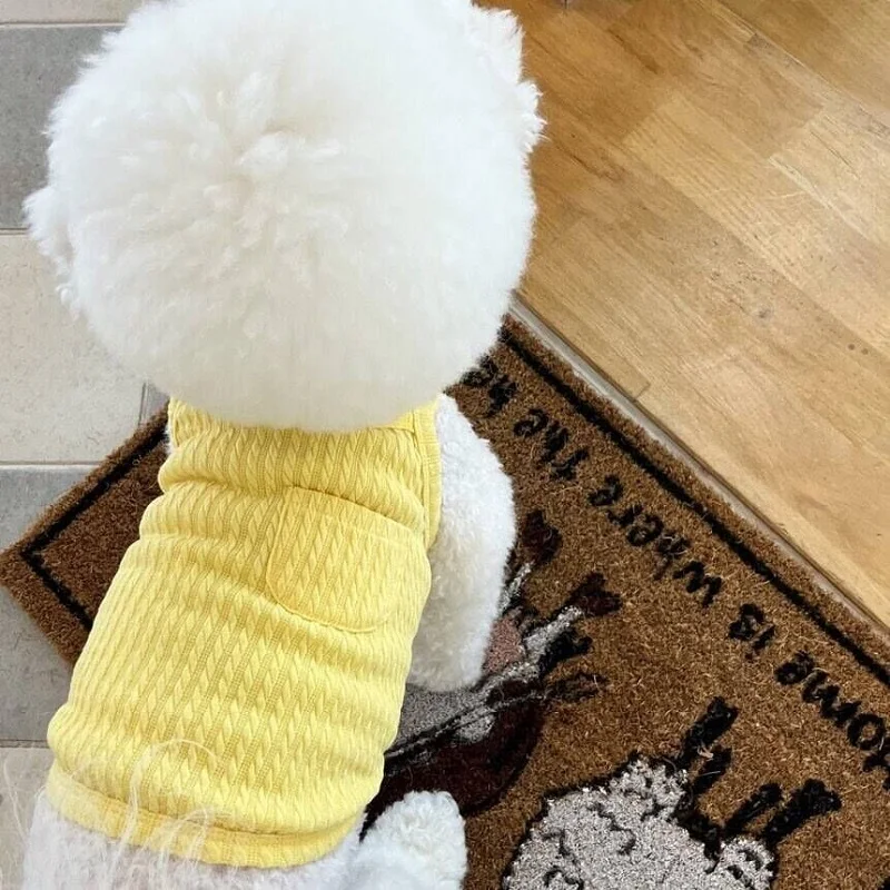 Summer Thin Dog Vest Breathable Dog Clothes for Small Dogs Chihuahua French Bulldog Clothing Puppy Clothes Cat Dog Accessories