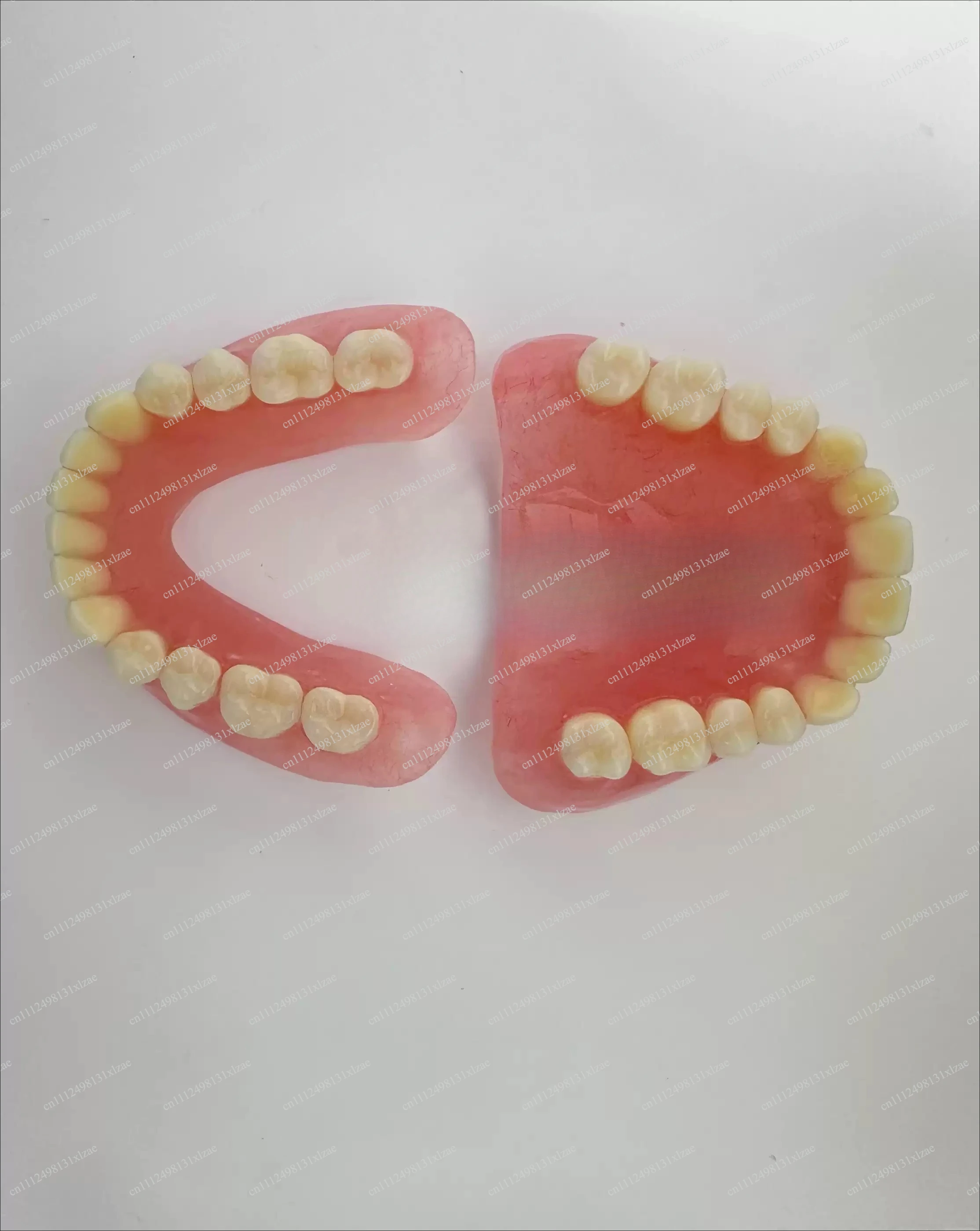 Full senior teeth Full teeth Model display supplies Full dentures Removable dentures