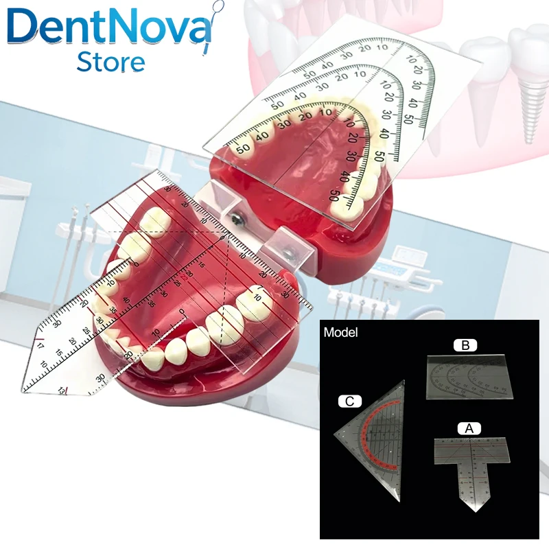 

3PCS Dental Ruler & Guide Plate - Stainless Steel Teeth Measuring Scale for Clinical Adjustment