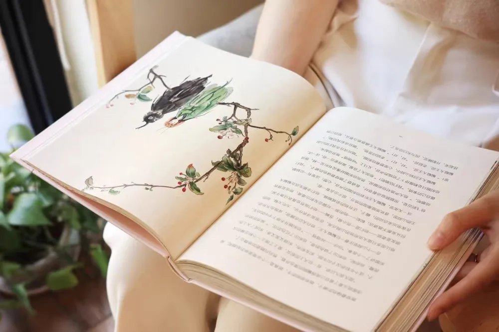 Chinese Fairy Tales Chinese Classics Children's Extracurricular Picture Book Modern Illustrations Classic Fairy Tales 0-8ages