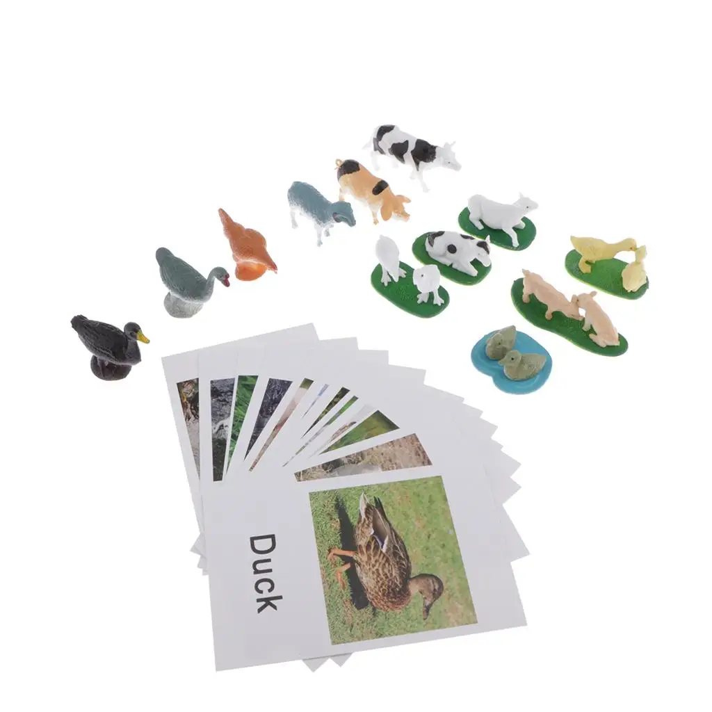 Animals Match Cards, Cognitive Flash Card Animal Figurines, Infant Preschoolers Learning Educational Toys