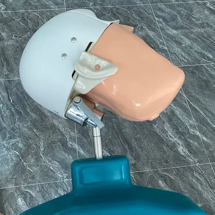 Professional Dental Teaching Simulator Head Model With Teeth New Style Bench Mount For Dentist Training Oral Practice Education