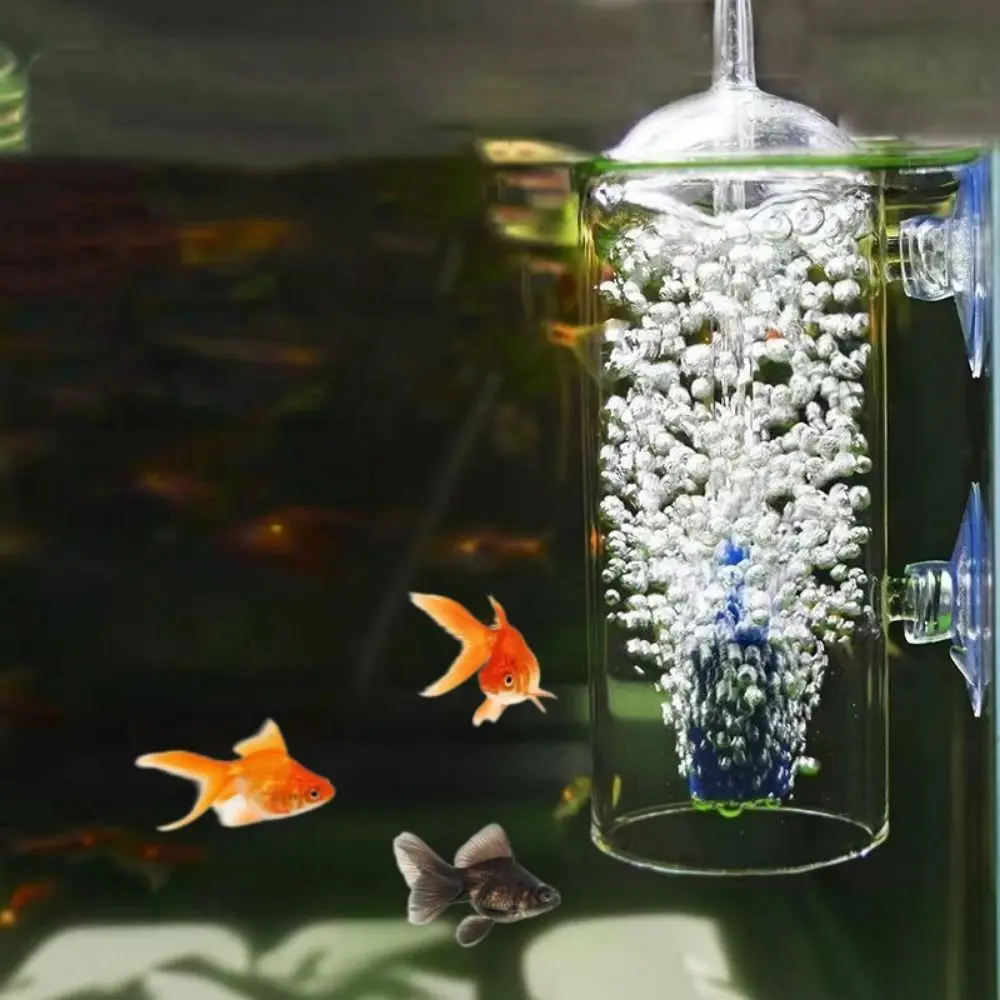 

Crystal Glass Fish Tank Dissolved Oxygen Device Transparent Anti-Splash Design Aquarium Oxygen Diffuser
