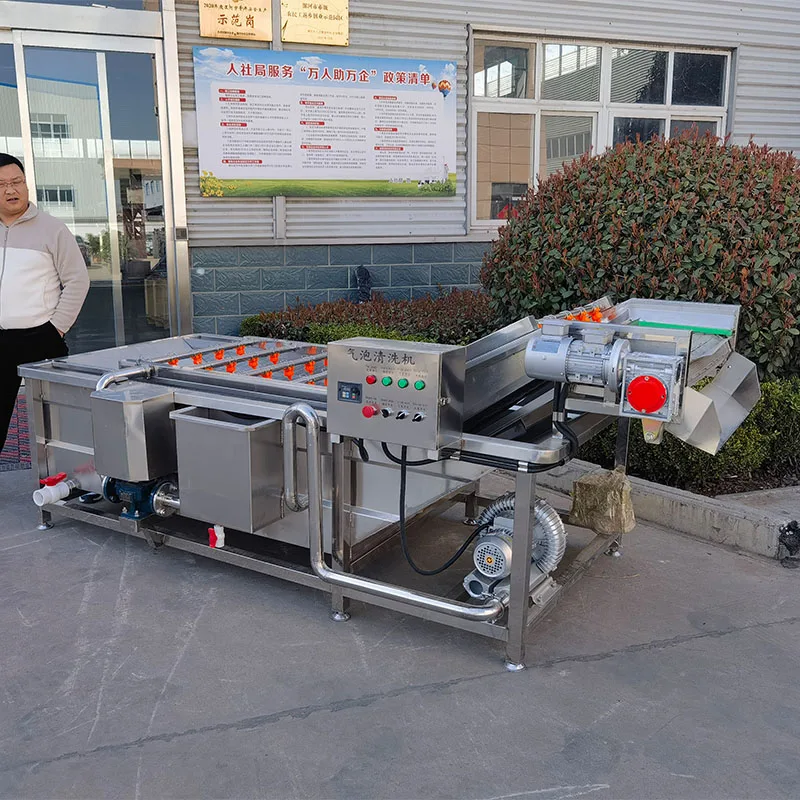 Commercial 800kg/h 4meters Fresh Fruit Mango Apple Cleaning Machine Air Bubble Vegetable Washing Machine Bubble Washing Machine