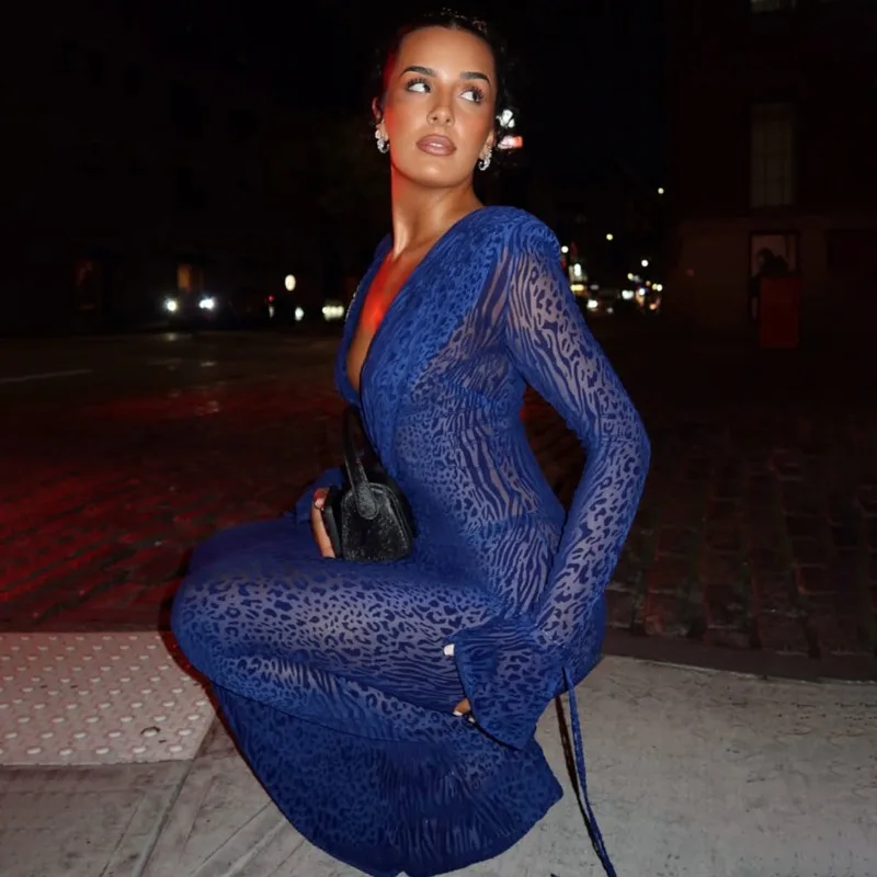 2025 Autunno Maglia Leopardo Stampato Sheer Slim Elegante Maxi Vestito Delle Donne Manica Lunga Goccia V Anca Avvolto Party Club Streetwear Robe