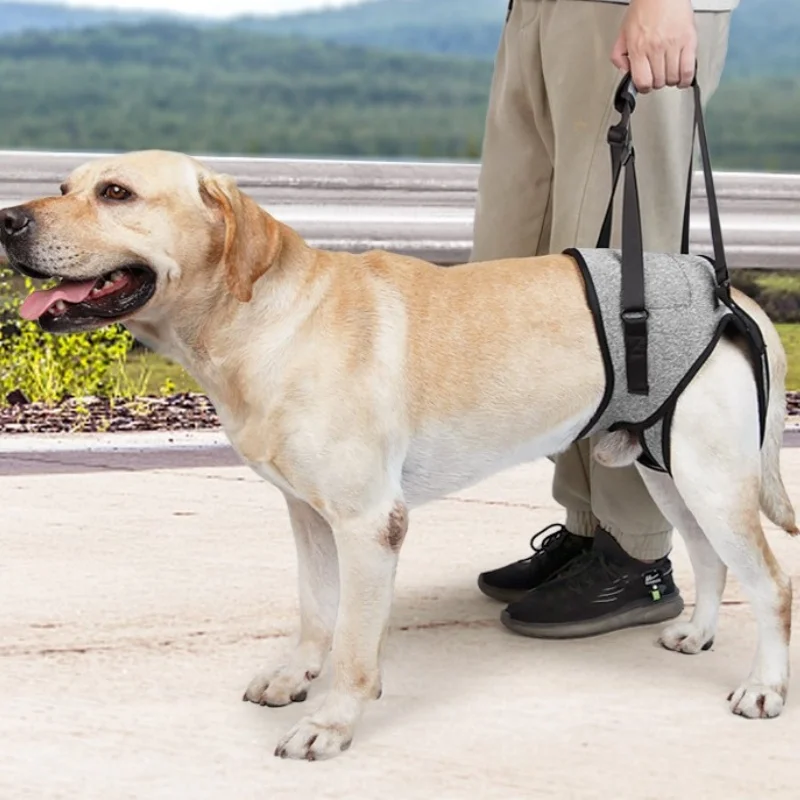 Disabled, Elderly, …