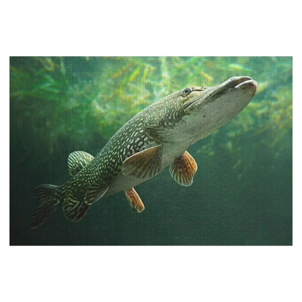 

Northern Pike Jigsaw Puzzle Personalized Toy Baby Toy Personalized Kids Gifts Christmas Gifts Puzzle