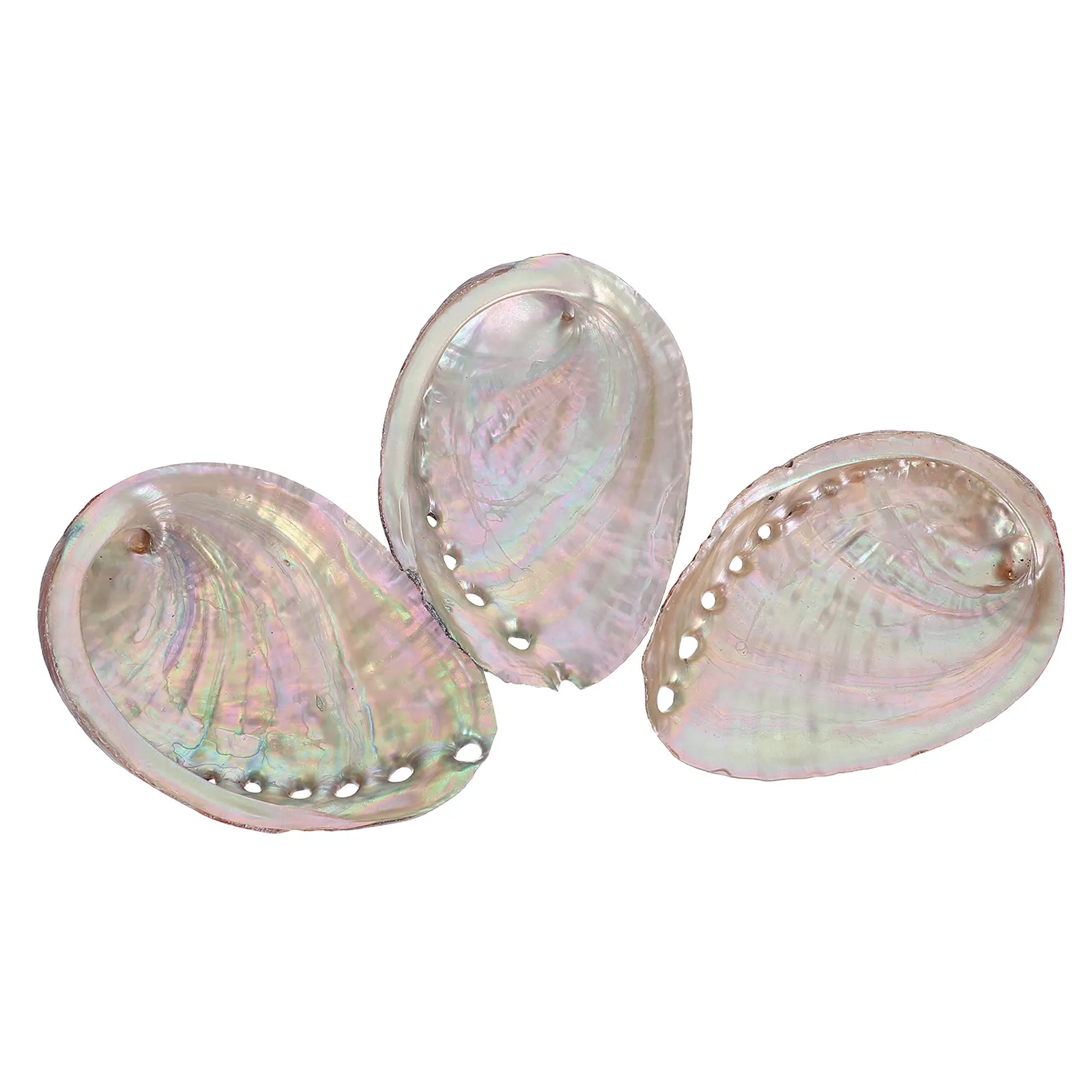 3Pcs Abalone Shell Bowl Large Natural Seashell Smudge Dish for Sage Burning Meditation Altar Decor Ritual Storage Tray Incense